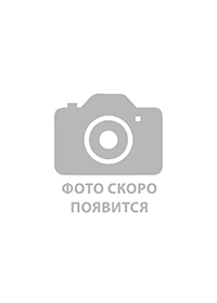 Ясмина на выезд